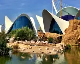 Największe oceanarium Europy? Oceanogràfic Walencja Twój przewodnik