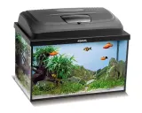 Akwarium 40x25x25 cm: 25l i co dalej? Przewodnik nano!