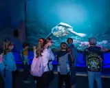 Oceanarium Blue City? Poznaj World of Reptiles największą wystawę!