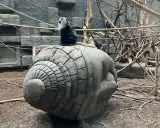 Orientarium ZOO Łódź Bilety: Ceny, Zniżki, Jak Kupić i Co Zobaczysz?