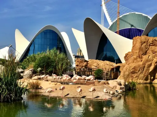 Największe oceanarium Europy? Oceanogràfic Walencja Twój przewodnik
