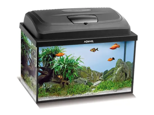 Akwarium 40x25x25 cm: 25l i co dalej? Przewodnik nano!