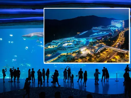 Największe oceanarium świata: Chimelong Ocean Kingdom czy warto?