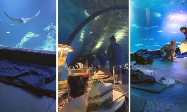 Afrykarium Wrocław: Gdzie spać? Najlepsze noclegi blisko ZOO
