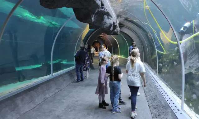 Orientarium Łódź: Największe oceanarium w Polsce? Co musisz wiedzieć!