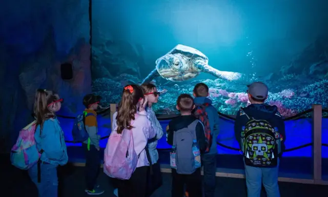 Oceanarium Blue City? Poznaj World of Reptiles największą wystawę!
