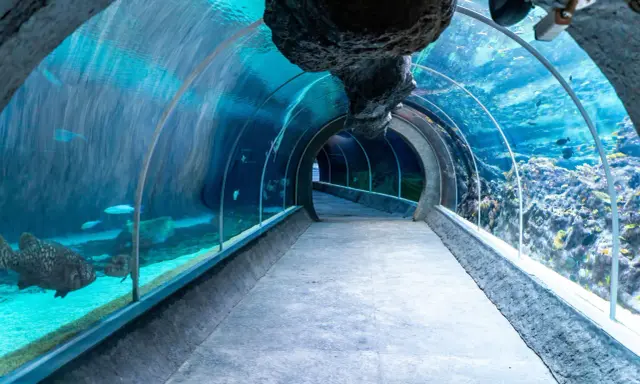 Oceanarium w Łodzi? Odkryj Orientarium ZOO: Tunel, Ceny, Dojazd