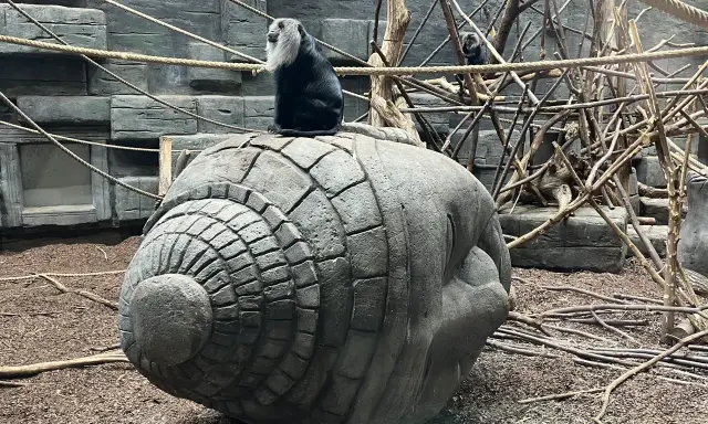 Orientarium ZOO Łódź Bilety: Ceny, Zniżki, Jak Kupić i Co Zobaczysz?