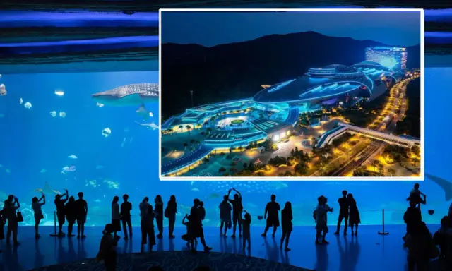 Największe oceanarium świata: Chimelong Ocean Kingdom czy warto?
