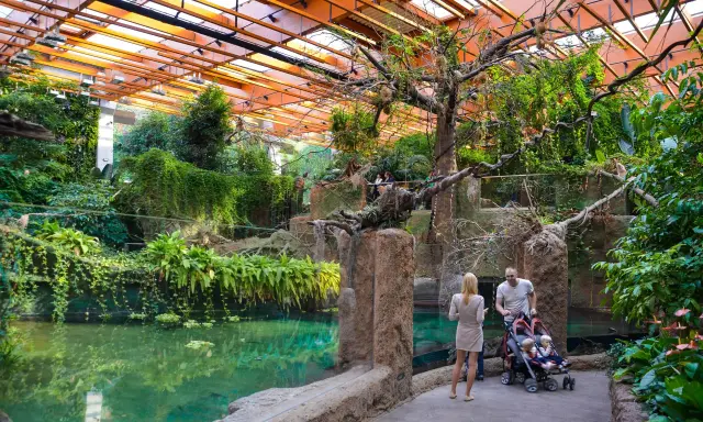 Afrykarium Wrocław: Jedyna taka Afryka! Bilety, dojazd, atrakcje