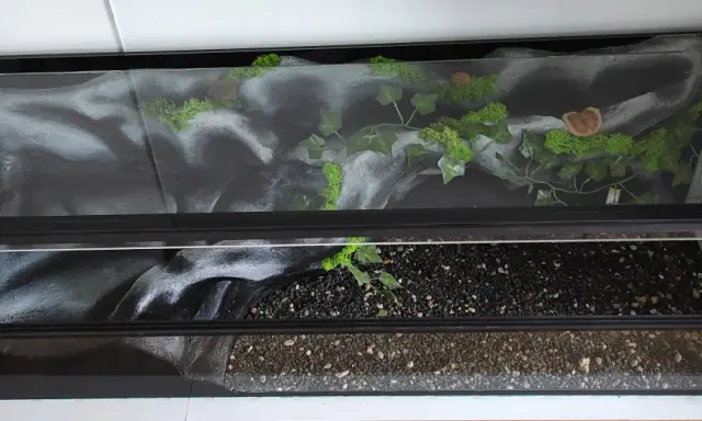 Żółw wodno-lądowy: Akwaterrarium od A do Z. Bez błędów!