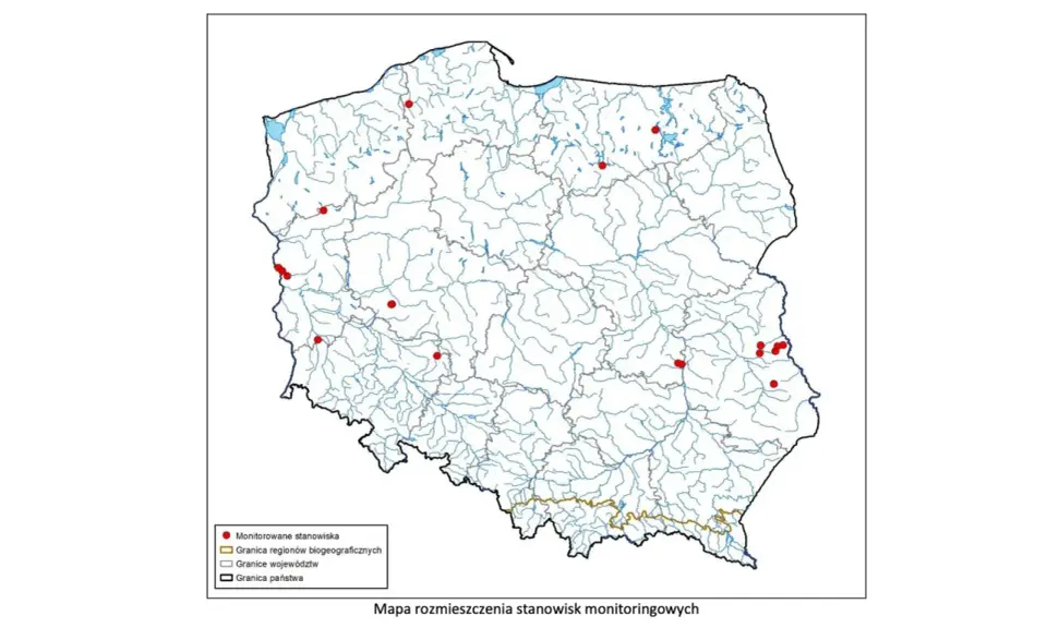 Żółw błotny: Gdzie żyje jedyny żółw w Polsce? Mapa siedlisk