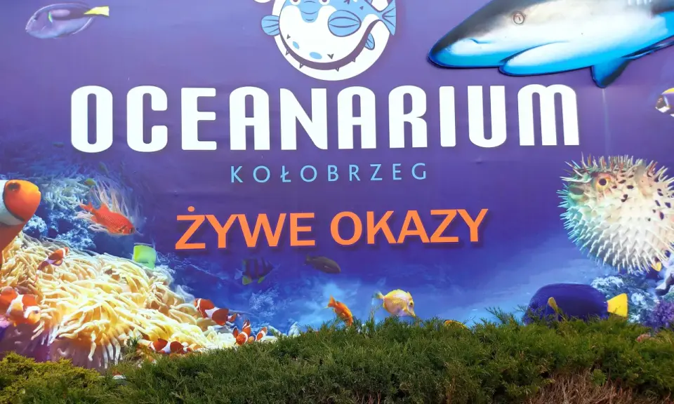 Oceanarium Kołobrzeg: Godziny otwarcia, ceny i jak zaplanować?