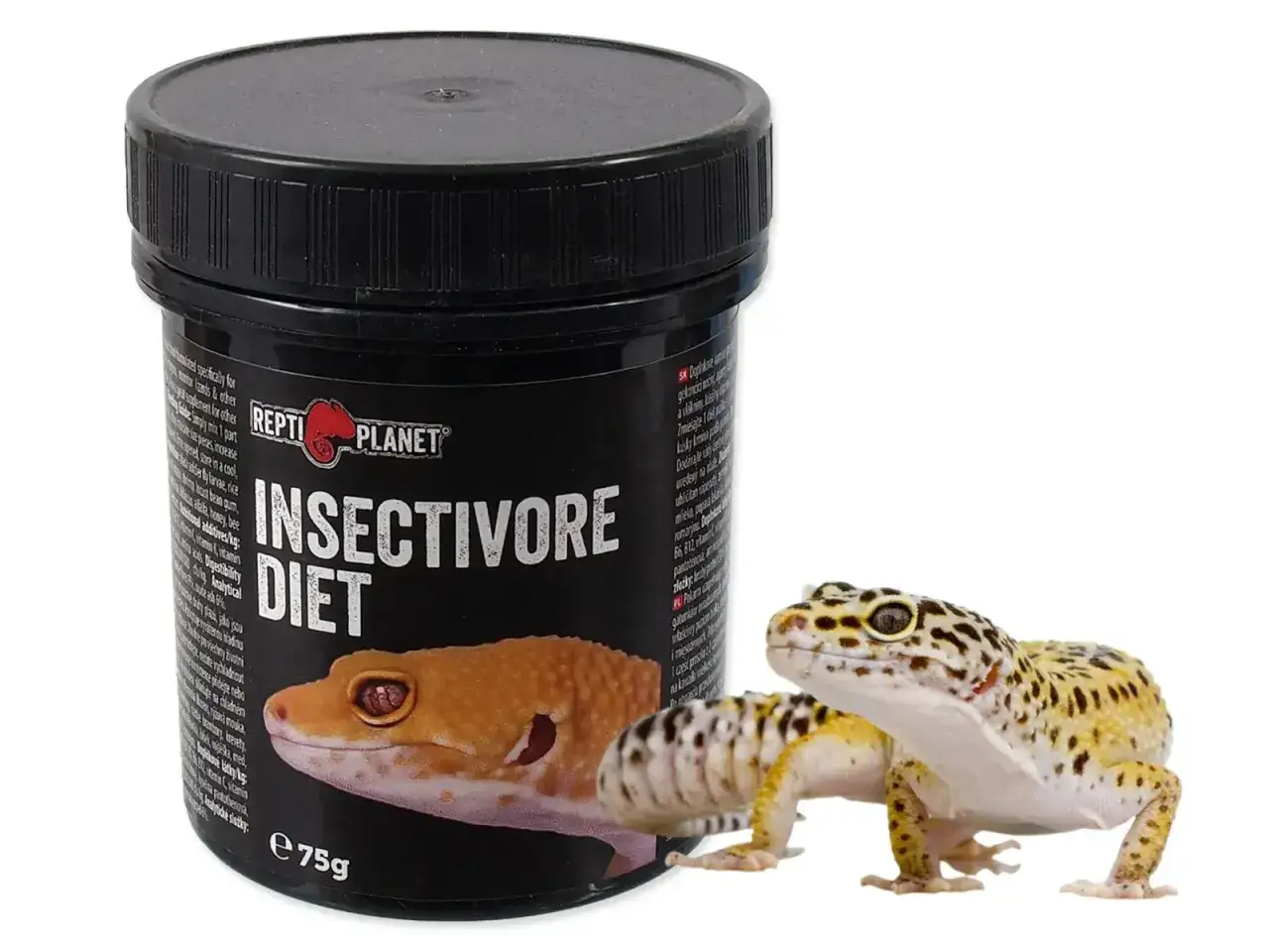R&oacute;żne owady karmowe dla gekona